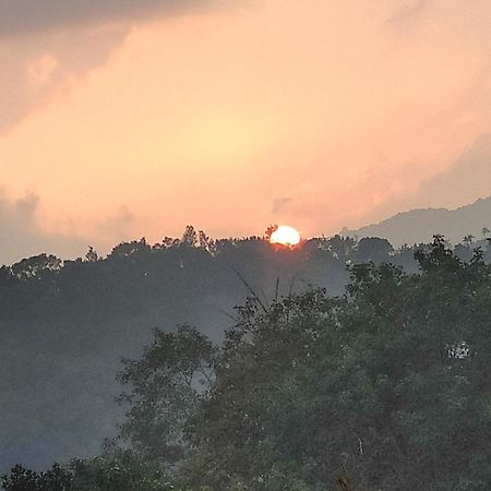 Soly'S Villa Homestay Munnar Dış mekan fotoğraf