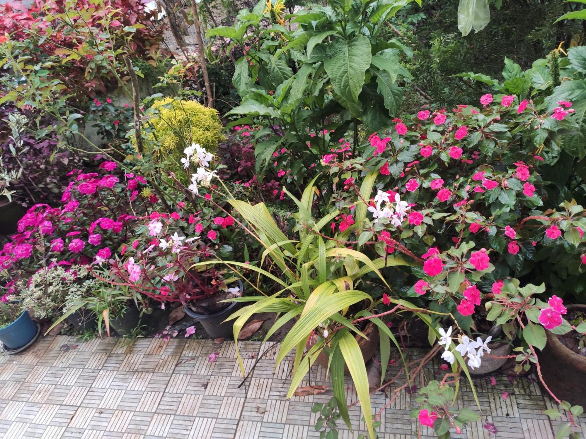 Soly'S Villa Homestay Munnar Dış mekan fotoğraf