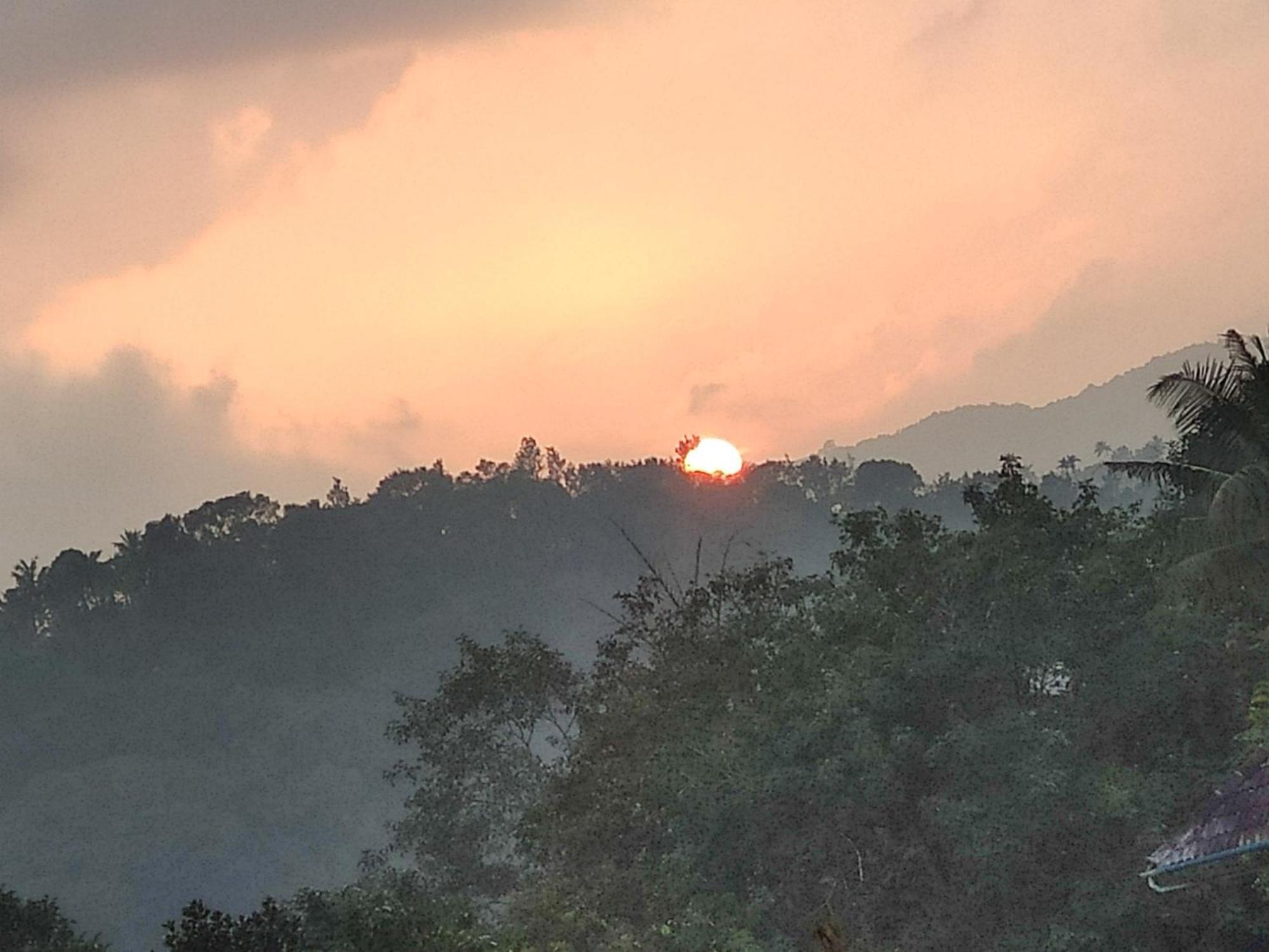 Soly'S Villa Homestay Munnar Dış mekan fotoğraf
